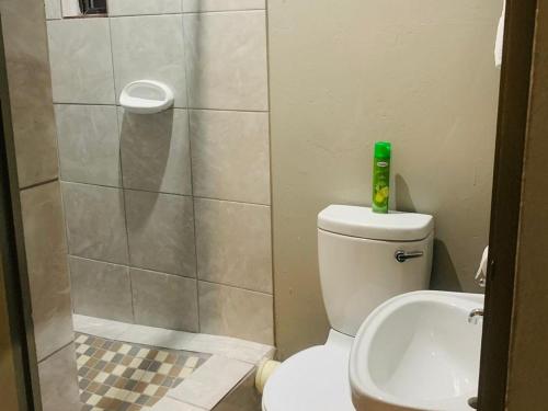 uma casa de banho com um chuveiro, um WC e um lavatório. em Xaba Guest Lodge em Richards Bay