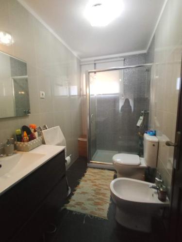 a bathroom with a shower and a toilet and a sink at Apartamento T3 Furadouro in Ovar