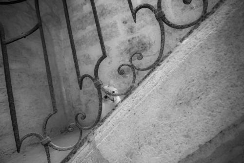a metal gate with a heart on it at La Comédie de Pézenas - Appartements in Pézenas