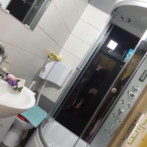 a bathroom with a shower and a toilet and a sink at RUSTIC SEJOUR,Roşia Montana in Roşia Montană