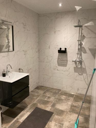 W łazience znajduje się umywalka i prysznic. w obiekcie bed en breakfast westerwolde w mieście Sellingen