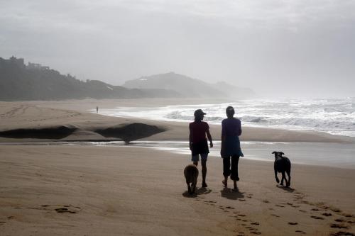 two people and two dogs walking on the beach at The Pink Lodge on The Beach in Wilderness
