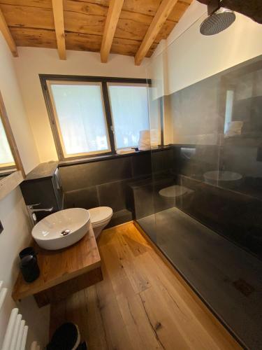 une salle de bain avec toilettes et douche en verre dans l'établissement Le Marti, à Chamonix-Mont-Blanc