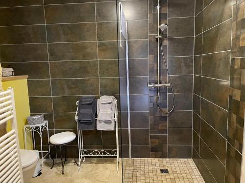 W łazience znajduje się prysznic, umywalka i toaleta. w obiekcie Domaine de Galoubet Lot w mieście Beaumat
