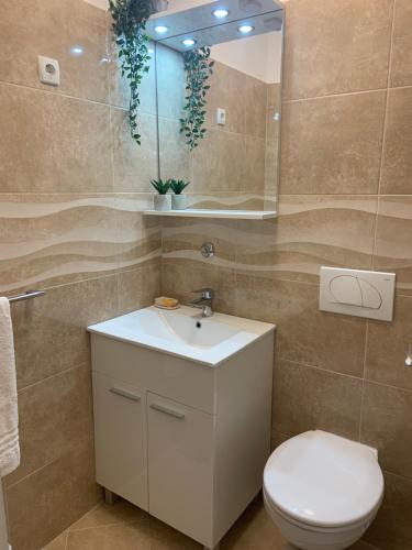 a bathroom with a sink and a toilet and a mirror at Villa Rustica in Pokrovnik