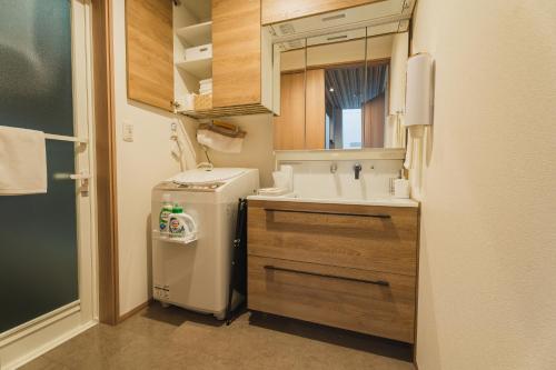 baño pequeño con lavabo y lavadora en マークヴィラ諏訪湖 siteA, en Shimo-suwa