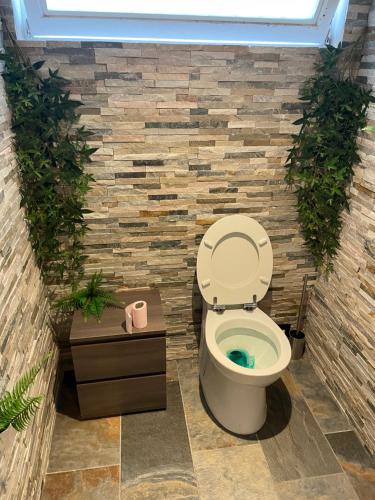 La salle de bains est pourvue de toilettes et de plantes. dans l'établissement Charmant logement avec cheminée,cour,wifi,Netflix, à Blanzy