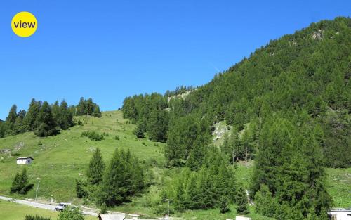 a grassy hill with trees on the side of it at Cresta Ellie in St. Moritz