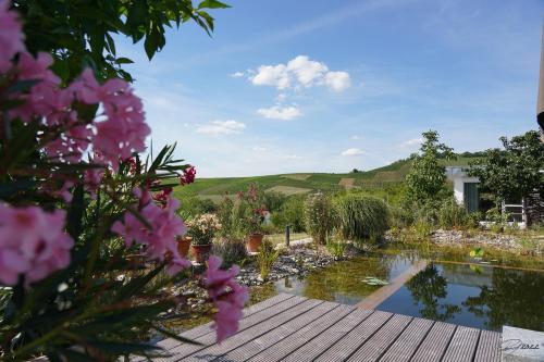 a garden with a pond and flowers at The view in Ilsfeld