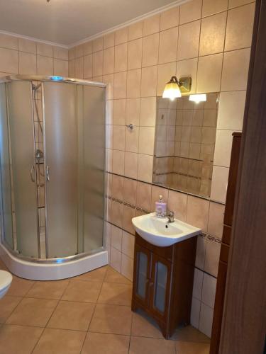 y baño con ducha y lavamanos. en Noclegi w Centrum Brodnicy en Brodnica