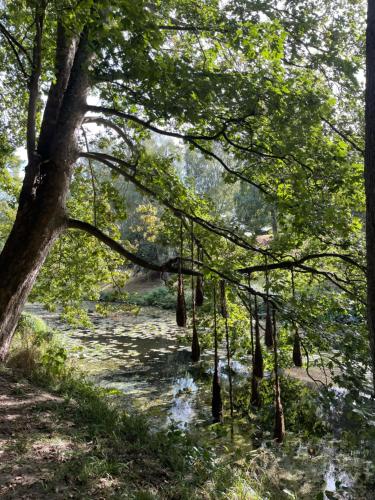 Naturlandskabet i nærheden af hotellet