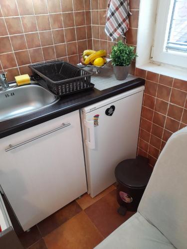 a kitchen counter with a sink and a bowl of bananas at N&N in Brzeće