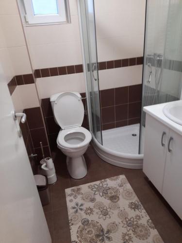 a bathroom with a toilet and a shower and a sink at N&N in Brzeće