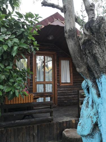 una cabaña de madera con una estatua delante de ella en Zeytindağı bungalow en Mehmetalanı