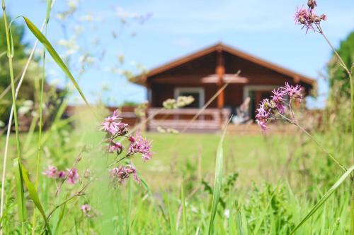 a house in the background with purple flowers in the foreground at Strathisla - Luxury Two Bedroom Log Cabin with Private Hot Tub & Sauna in Berwick-Upon-Tweed