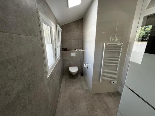 een badkamer met een toilet en een raam bij Maison indépendante 42m2. Calme et verdure :) in Landorthe