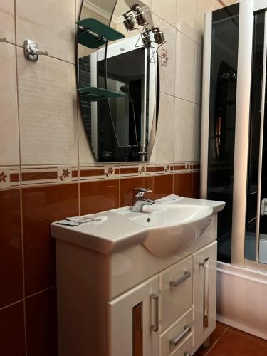 a bathroom with a white sink and a mirror at База відпочинку ШИПОВЕЦЬ in Poroškov