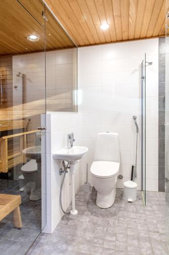 a bathroom with a toilet and a sink and a shower at Mustikkakallio Luxury Villa in Keuruu