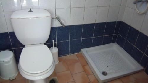 a bathroom with a toilet and a shower at Belvedere Zakynthos Studios in Vasilikos