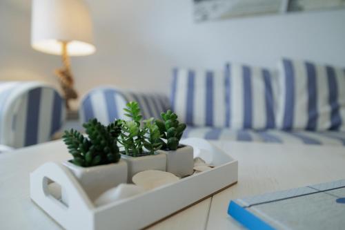 a table with two potted plants on top of it at Boddenkieker 12 in Zingst