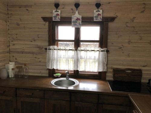 Strizhevka的住宿－Дом для отдыха Lake House，带水槽的厨房台面和窗户