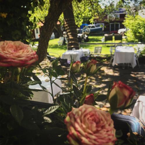 Κήπος έξω από το Hotel Pensionat Granparken
