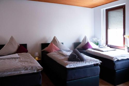 a room with two beds and a couch and a window at Gästewohnung Mönchengladbach in Mönchengladbach