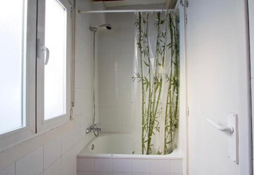 La salle de bains est pourvue d'une douche avec une plante. dans l'établissement Céntrico y cómodo apto en Opera Palacio Real Aire Acondicionado WiFi, à Madrid