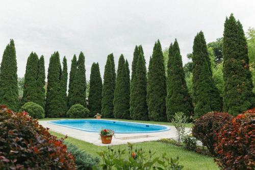 a row of trees and a swimming pool in a garden at Cozy apartment on the picturesque Niraj Valley in Păsăreni