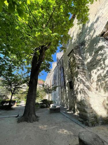 un arbre à côté d'un bâtiment en pierre avec un arbre dans l'établissement Charmant Studio, Centre historique, Carmes, à Avignon