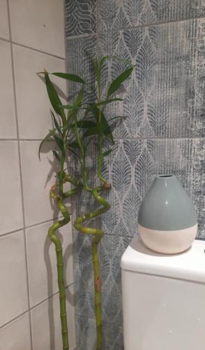 a plant sitting on top of a toilet in a bathroom at Katoi suite in Éxo Khóra