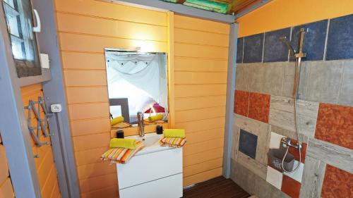uma casa de banho com um chuveiro e um espelho. em KAZ AMOUR em Bouillante