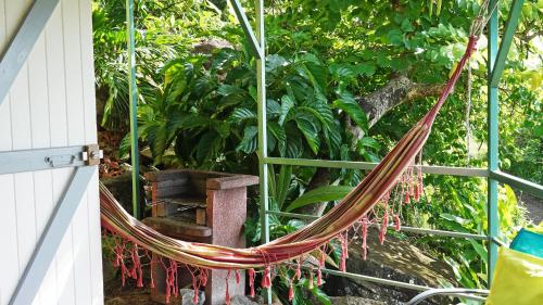 Taman di luar KAZ AMOUR