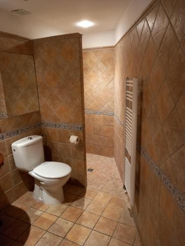 ein Bad mit einem WC und einer gefliesten Wand in der Unterkunft Hostal Cabrerès in Cantonigros