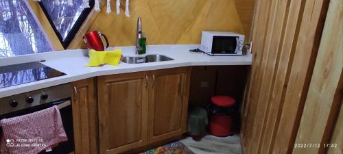 a kitchen with a sink and a microwave at Cabaña y Domo Rinconada de Malalcahuello in Malalcahuello