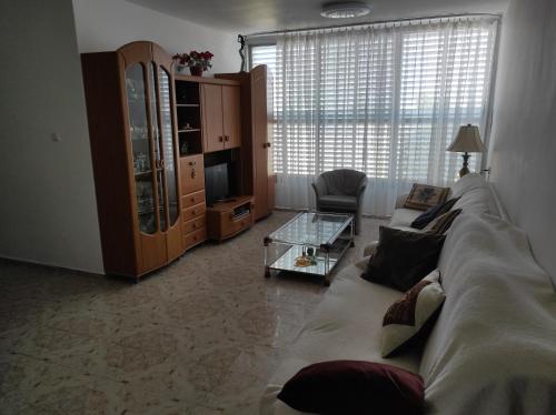 a living room with a couch and a television at Apartments Haagna in Ashdod