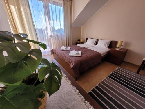 a hotel room with a bed and a large window at Pokoje i apartamenty "U Beaty" in Karwia
