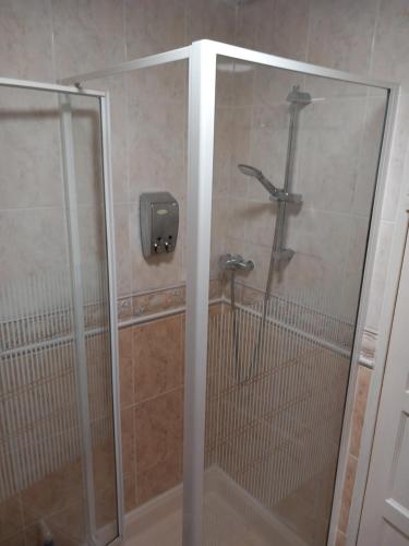 a shower with a glass door in a bathroom at WAVENEY in Belfast