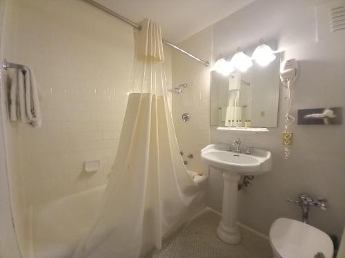 a bathroom with a shower curtain and a sink at Arlington Resort Hotel & Spa in Hot Springs