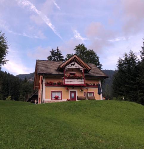 a house on top of a grassy hill at Baita Alpenrose in Ugovizza