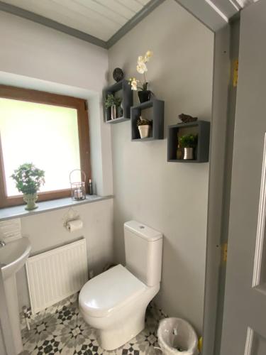a bathroom with a white toilet and a window at Salmon Weir Lodge in Cong