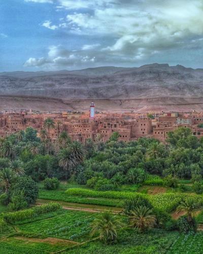 a city in the middle of the desert with trees at Riad Al Anwar in Tinerhir