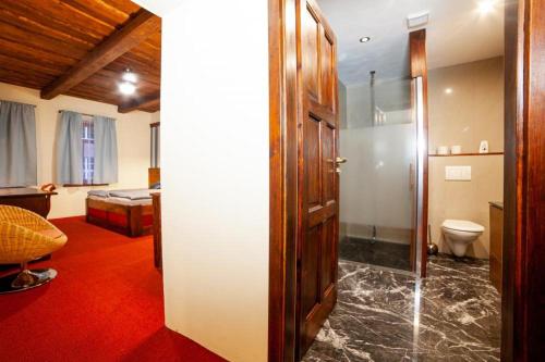 La salle de bains est pourvue d'une douche et de toilettes. dans l'établissement Hotel Galerie, à Roudnice nad Labem