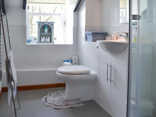 biała łazienka z toaletą i umywalką w obiekcie Trekeive Cottage w mieście Saint Cleer
