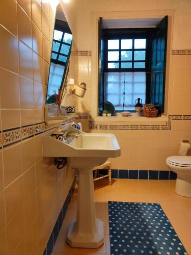 a bathroom with a sink and a toilet at Lugar da Pedra Alta - B&B - Private Historical Villa in Melo