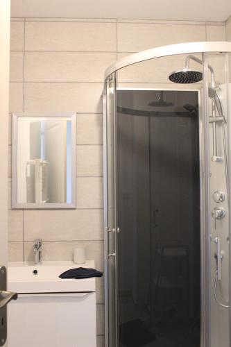 a bathroom with a shower and a sink at Gîte Lou, Gîte famille et bien être avec jacuzzi in Fontenay-le-Comte