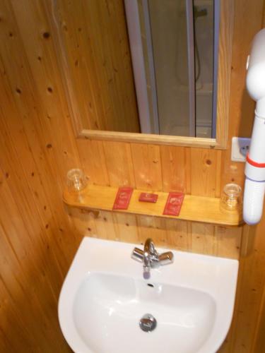 a bathroom with a sink and a mirror at Hotel Les Sapins in Gérardmer