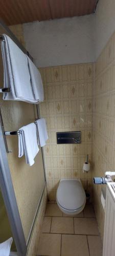 a bathroom with a toilet and towels on the wall at Black Bear Bikers Pub-Hotel in Kempfeld