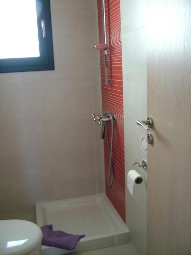 a bathroom with a shower and a toilet at Sugar and Almond in Agios Stefanos