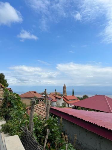 uma vista para uma cidade com telhados vermelhos em Guest House Lali em Signagi